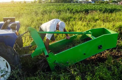 A farmer examines a machine for digging out potato root vegetables. Exploitat Stock Photos