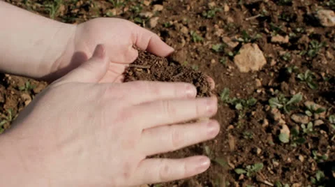 Farmer examines soil Stock Footage 22996749