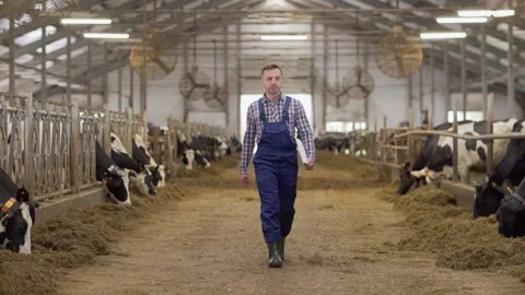 Farmer examining cows and making notes 스톡 동영상 140995667