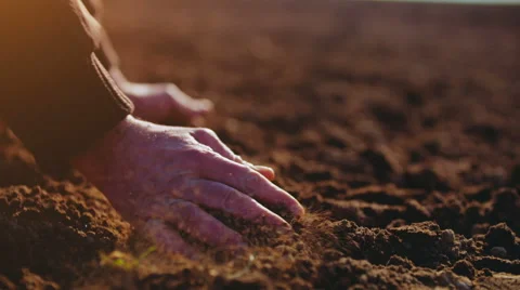 Farmer examining soil. Agriculture background. Stock Footage