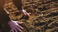 Farmer Examining Soil. Agriculture Background. Stock Footage