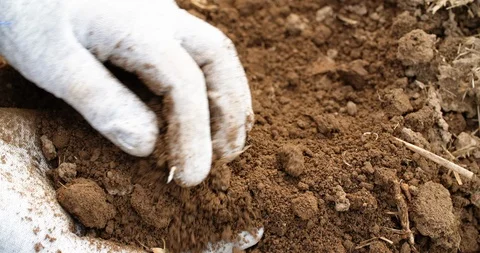 Farmer examining soil in hands Video stock 124710796