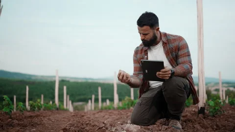 Farmer Examining Soil Sample in Vineyard with Digital Tablet Stock Footage 327138475