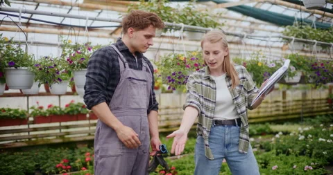 Farmer Explaining And Shouting To Colleague In Greenhouse. Stock Footage 246832515