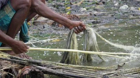 Farmer extracting Stock Footage 344818726