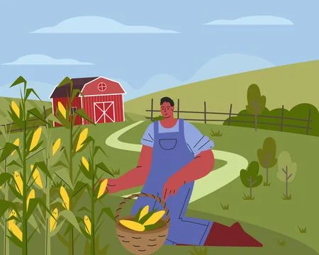 Farmer on farm flat vector illustration. Agricultural worker harvesting crops Stock Illustration