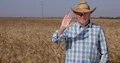 Farmer in Farm Wheat Culture Salute with Hand Gestures and Smile Happy 4k or 4k+ Resolution