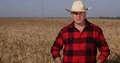 Farmer in a Farmland Inspection Talk in a Interview About Wheat Crop Production 4k or 4k+ Resolution
