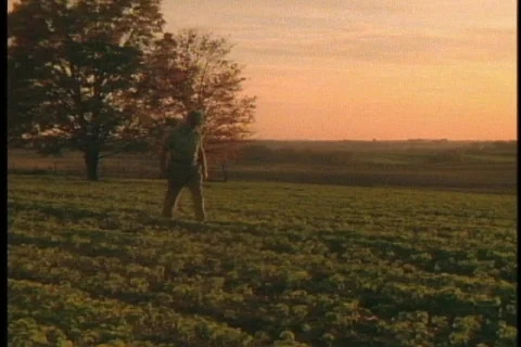 Farmer in Field Video stock 117191