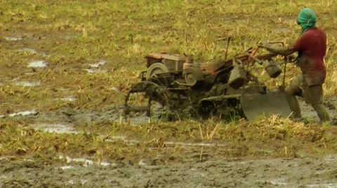 Farmer on Field Stock Footage 5855263