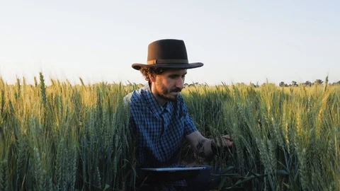 Farmer in field Stock Footage 92051203