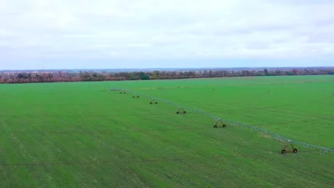 Farmer. Field. Harvest. Stock Footage 255994885