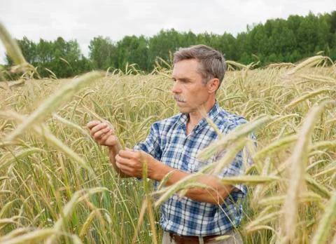 The farmer in the field Stock Photos