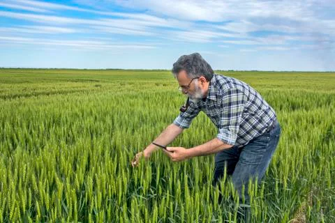 Farmer in the field Stock Photos