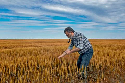 Farmer in the field Stock Photos