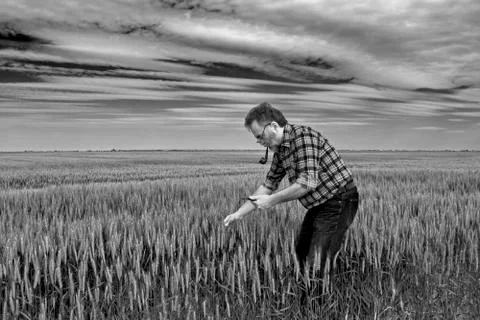 Farmer in the field Stock Photos