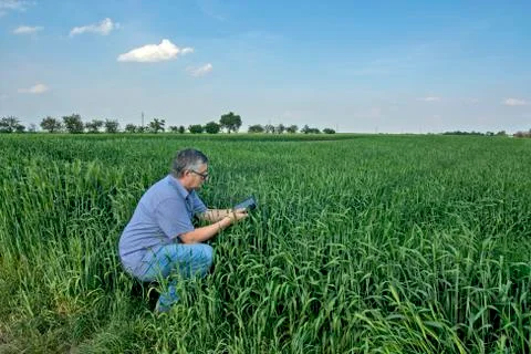Farmer in the field Stock Photos