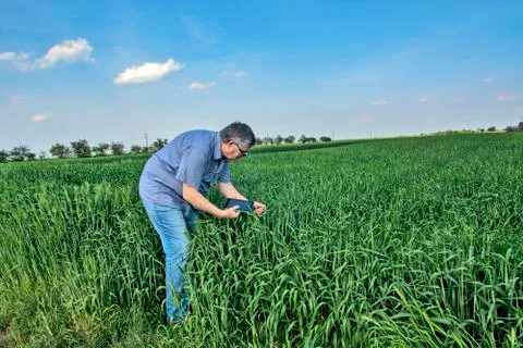 Farmer in the field Stock Photos