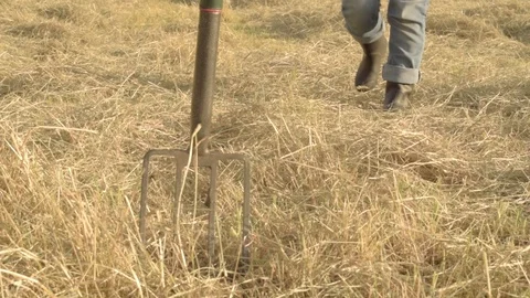Farmer in field starts work with pitching fork Stock Footage 111659331