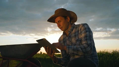 A farmer in a field at sunset uses a digital tablet to measure cereal growth. A Stock Footage 132173674
