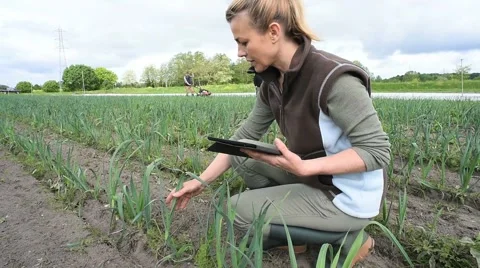 Farmer in field using digital tablet Stock Footage 63330745