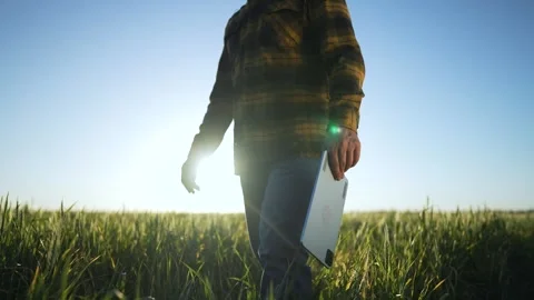 Farmer in field using tablet for agronomy. Farmer managing agronomy practices Stock Footage 345337429