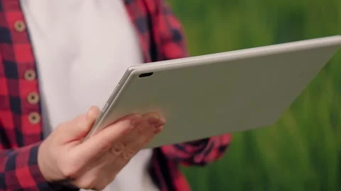 Farmer field wheat, work hand tablet, farmer agriculture hand tablet, wheat Stock Footage 244550026