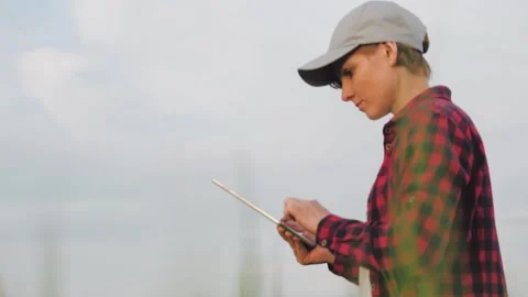 Farmer field wheat, work hand tablet, farmer agriculture tablet, wheat field Stock Footage 245410086
