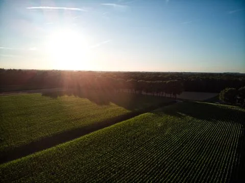 Farmer Fields Holland with Sunset Stock Photos