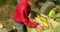 Farmer Filling Seeder With Wheat HD Footage