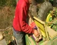 Farmer Filling Seeder With Wheat SD Footage