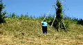 Farmer HD Footage