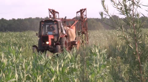 Farmer Vídeo Stock 25938514