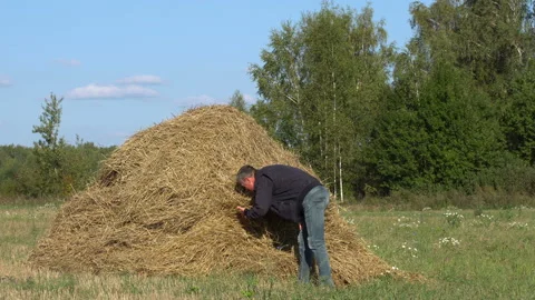 Farmer Video stock 97379992