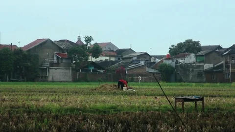 The Farmer Stock Footage 106273852