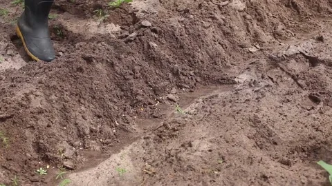 The farmer Stock Footage 131625670