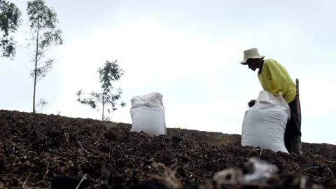 A Farmer Stock Footage 131716067