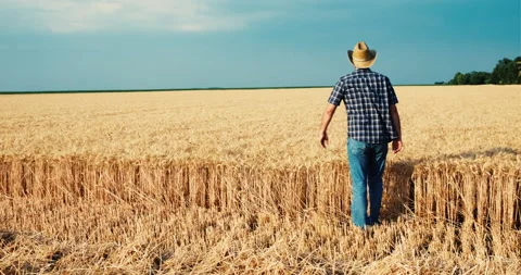 Farmer Stock Footage 157335665