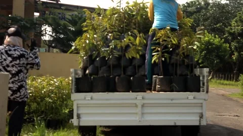 Farmer Stock Footage 274176471