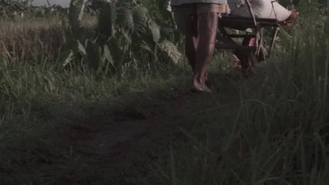 Farmer Footstep Stock Footage 154917450