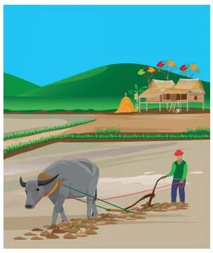 Farmer furrow in paddy field vector design Stock Illustration