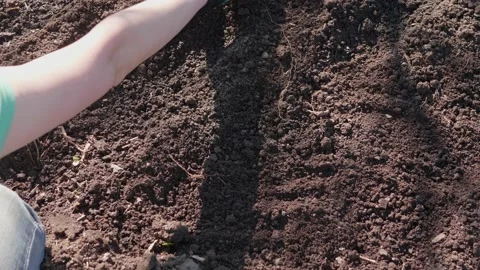 Farmer in gloves closes rows with seeded earth Stock Footage 140608158
