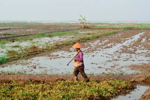Farmer go to fields Stock Photos