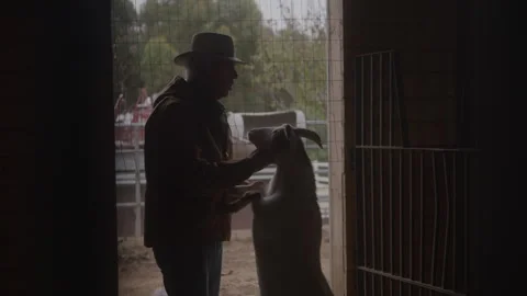 Farmer With Goat Stock Footage 270336644