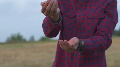 Farmer with grain of wheat in work worn hands, agriculture nature Stock Footage 66883432