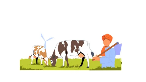 A farmer grazes cows in the field Stock Footage 281430939