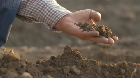Farmer hand and soil - tracking shot Stock Footage 61517384