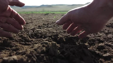 Farmer hand check the condition of the soil in early spring Stock Footage 62636137