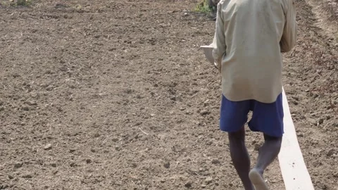 Farmer Hand Spreading Fertilizer Stock Footage 334002792