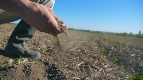 Farmer hand taking a handful of ground and pouring it back through his fingers Vídeo Stock 229338246